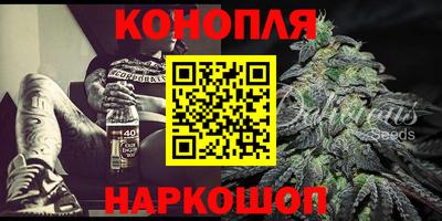 стаф Новокубанск
