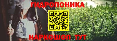 стаф Новокубанск
