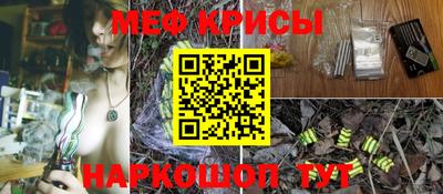 стаф Новокубанск