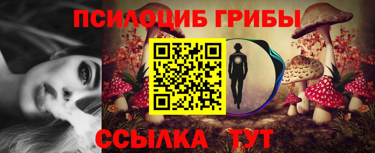 Псилоцибиновые грибы мухоморы Трёхгорный